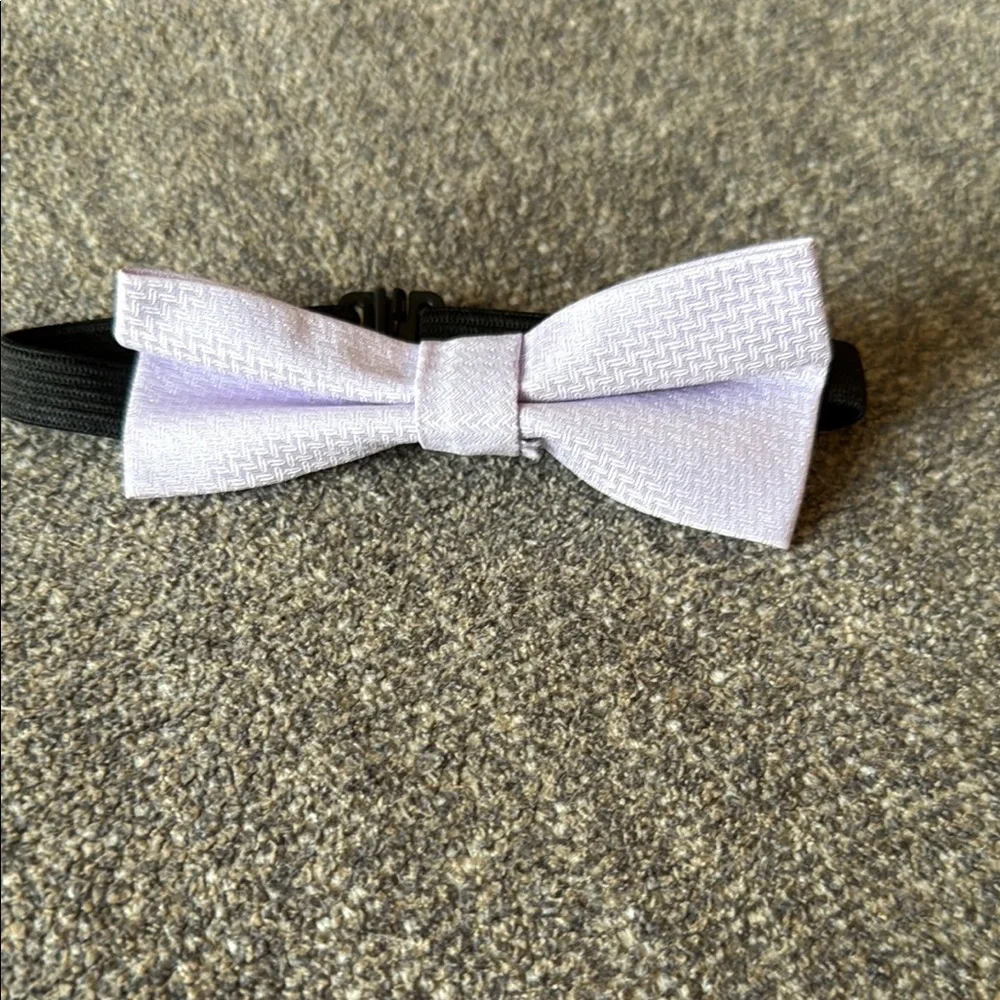 Elegant Lavender Bow Tie